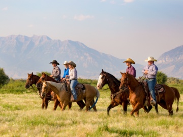 cowboy-carter-adventure
