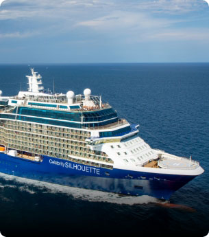 Celebrity Reflection