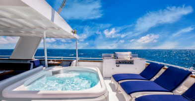 Cruise Image
