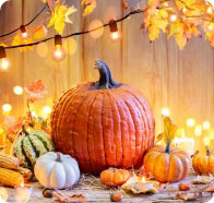 Thanksgiving Cruises